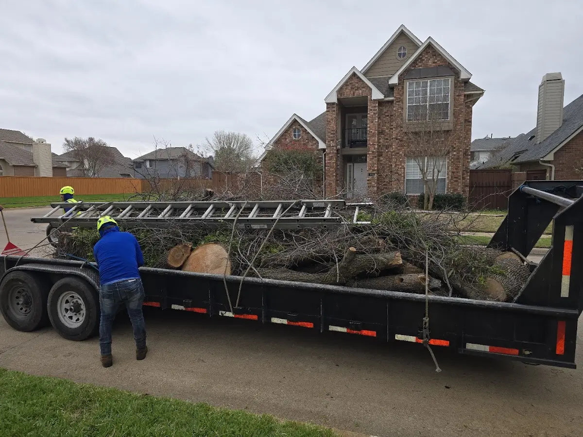 Expert Tree Fertilization with proper safety equipment in Cass Lake
